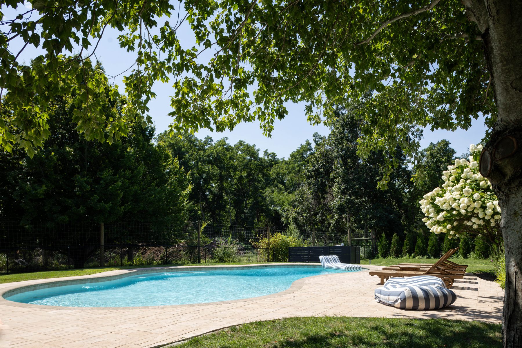 Pool — afternoon light across the water and lawn