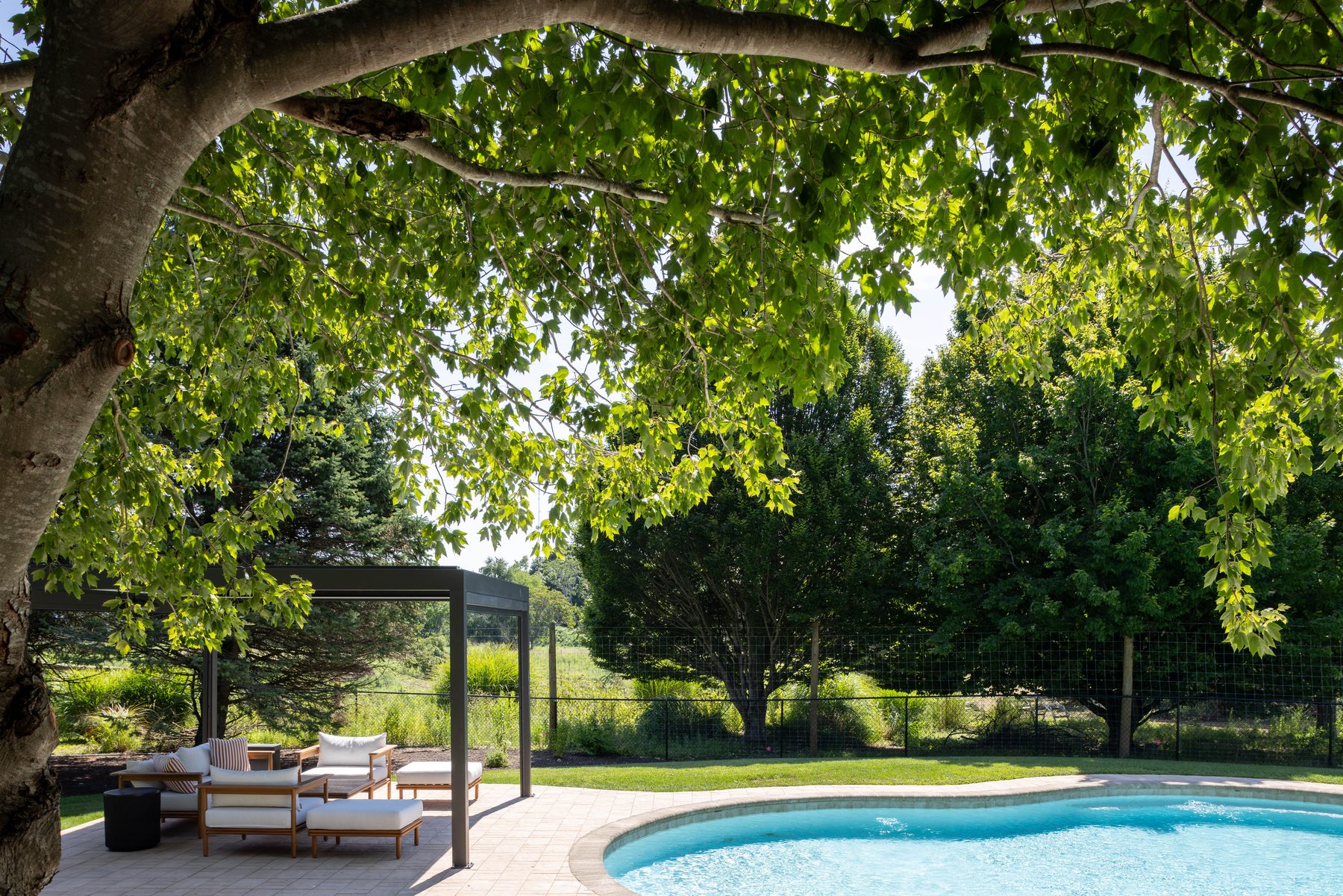 Poolside — view to the pool from the shaded pergola